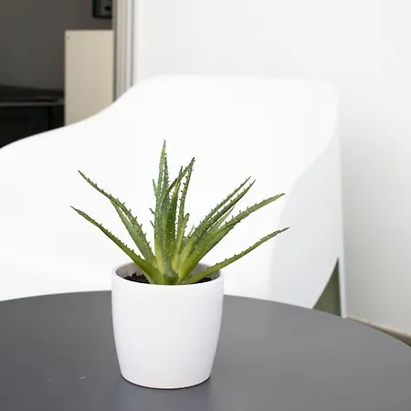 Glabur - The Amazing 1 Bdr - Executive Center Free Parking & Wifi Apartment Nicosia