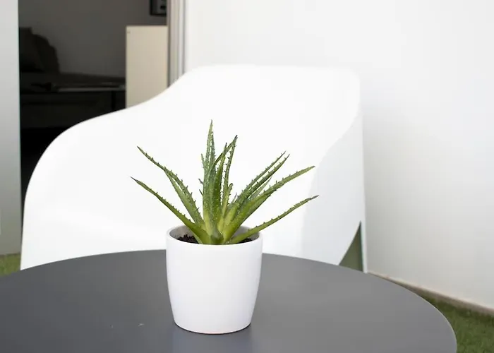 Glabur - The Amazing 1 Bdr - Executive Center Free Parking & Wifi Lägenhet Nicosia